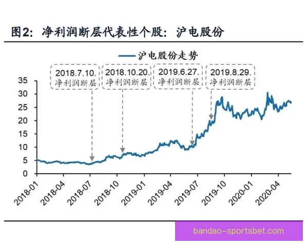 体育竞猜赔率深度解析 如何通过数据预测比赛结果提升胜率
